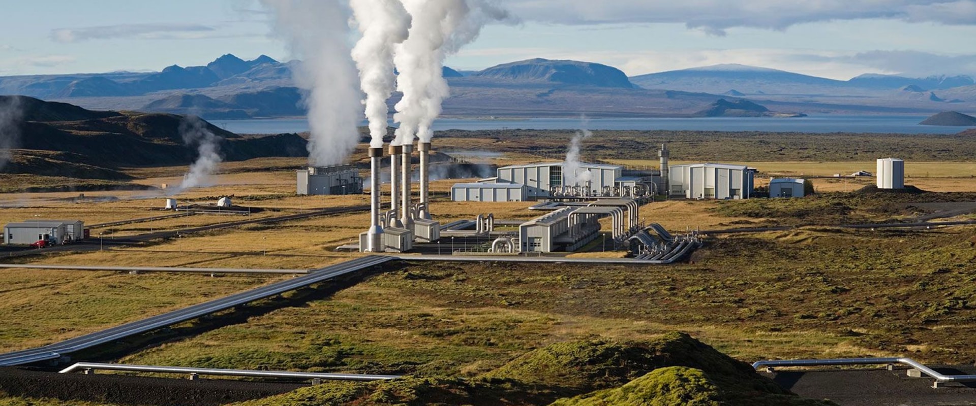 The Advantages and Disadvantages of Citation Generators